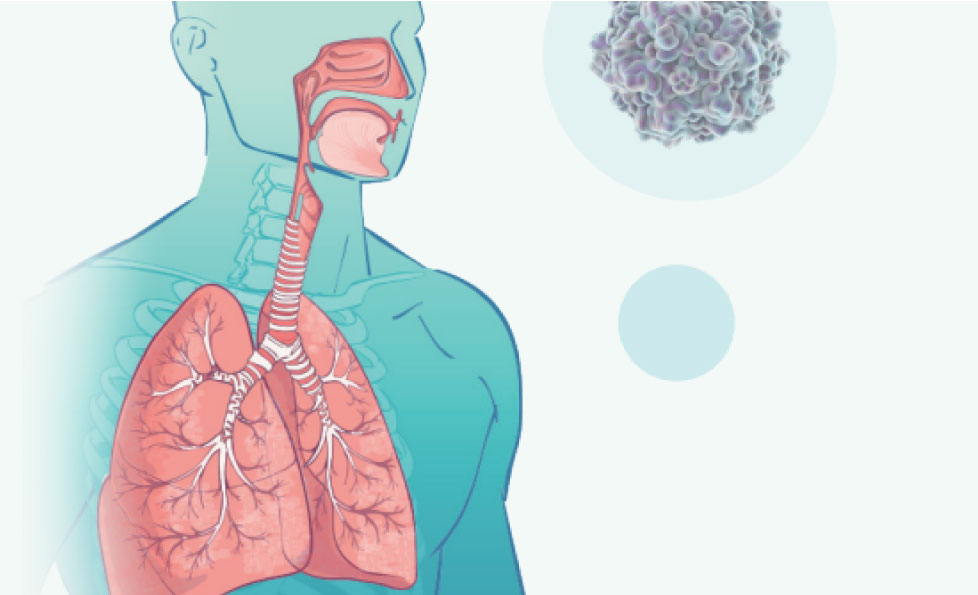 BC贷·(中国区)官方网站