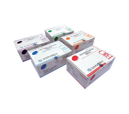 BC贷·(中国区)官方网站