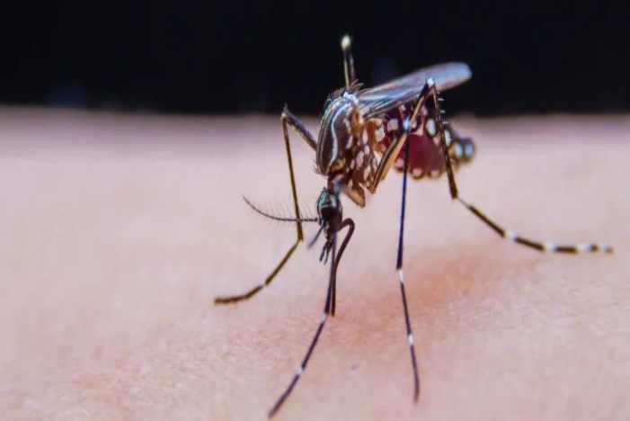 BC贷·(中国区)官方网站